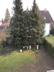 Blick in den Garten