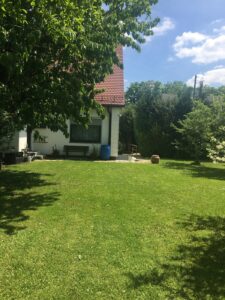 Blick aus dem Garten